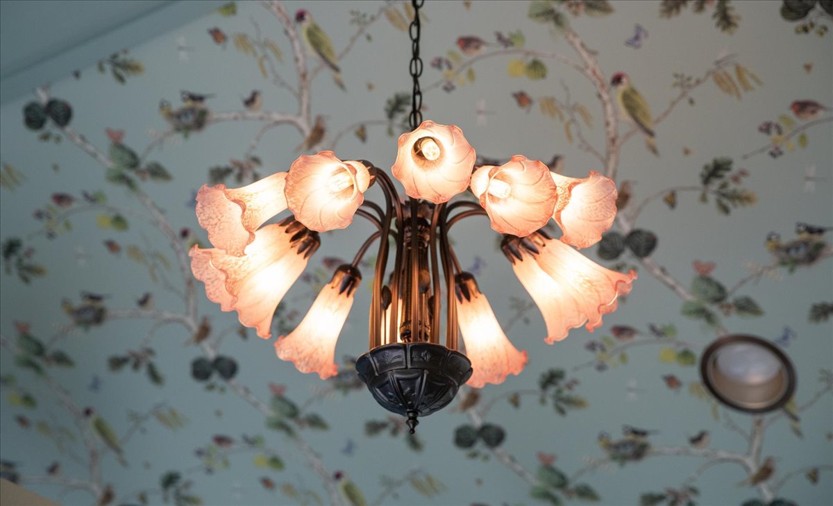 Flower-like light fixture beneath a patterned ceiling